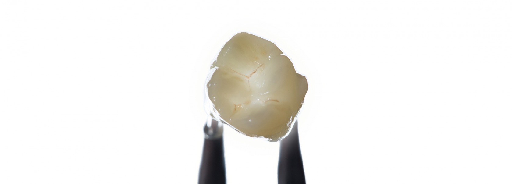 Bruddstyrke > 750-800 MPa
 	Translusens 49%
 	Ind: fasetter, innlegg, onlay, cut-back og full kroner/bro (maks. 3 ledd), hybrid abutment
Les mer

Bilde fra www.dentaldirekt.de